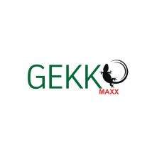 Gekko